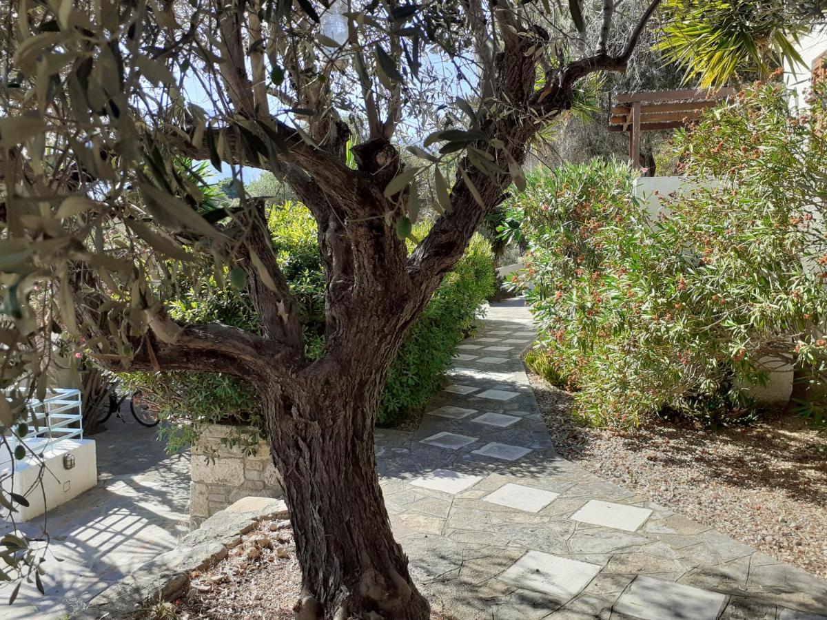 Villa Vigla-Βίγλα 1 2 Ormos  Exterior foto
