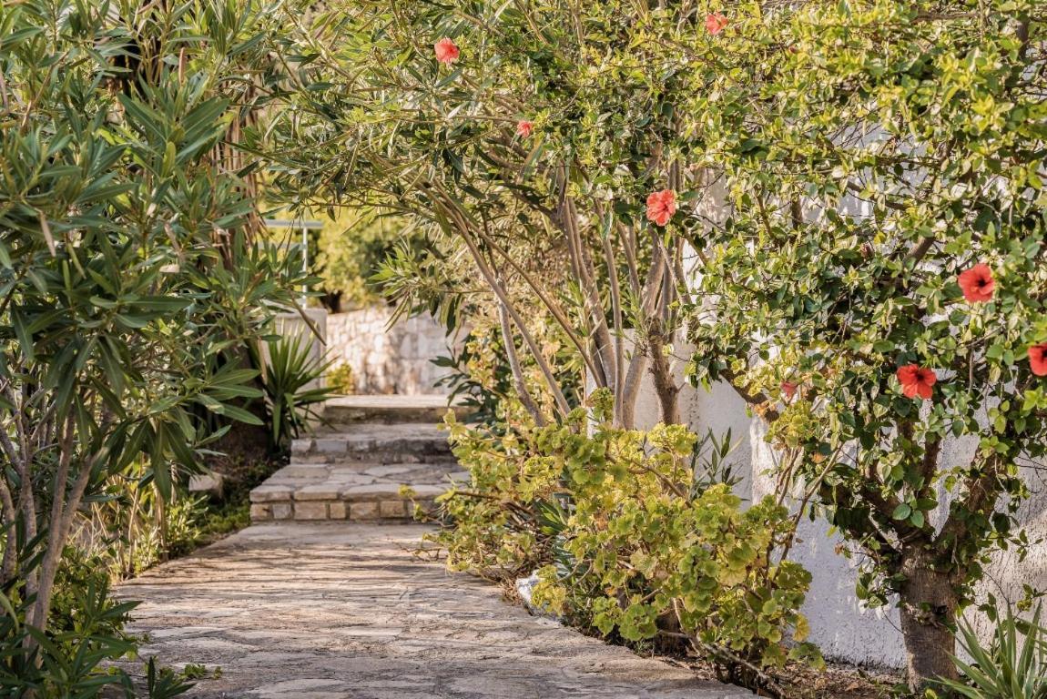 Villa Vigla-Βίγλα 1 2 Ormos  Exterior foto