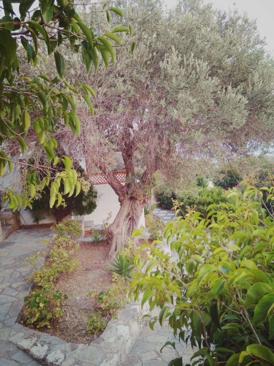 Villa Vigla-Βίγλα 1 2 Ormos  Exterior foto